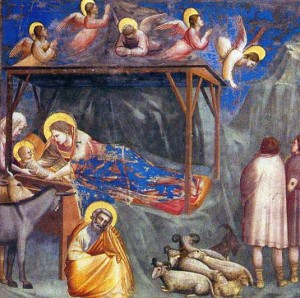 Giotto-Nativita
